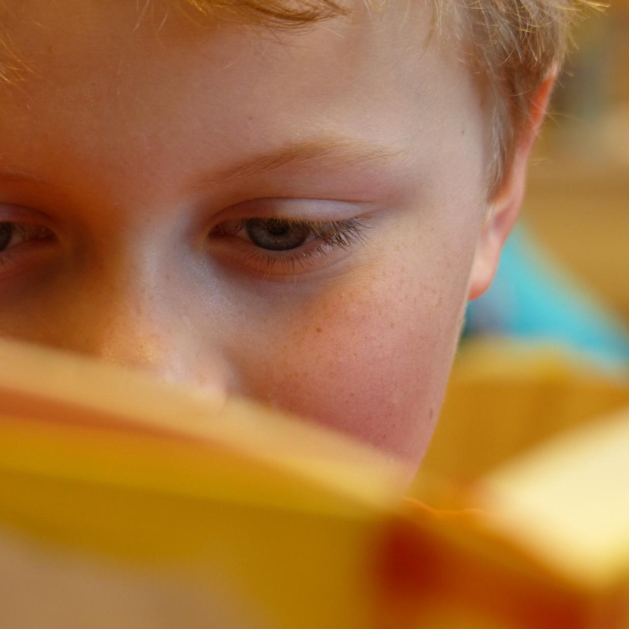 Lesender Junge - aufgeschlagenes Buch verdeckt sein halbes Gesicht